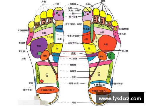 JN江南体育球员脚底磨损分析与预防措施研究